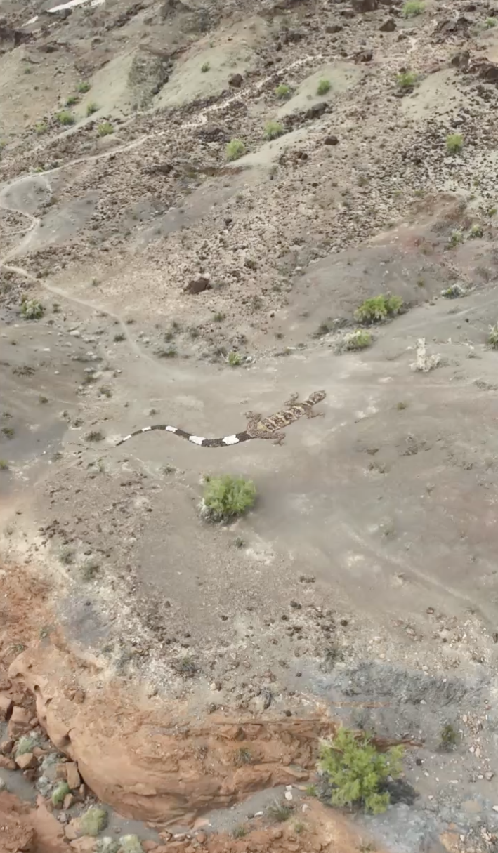 Hiking Gallery Replacement